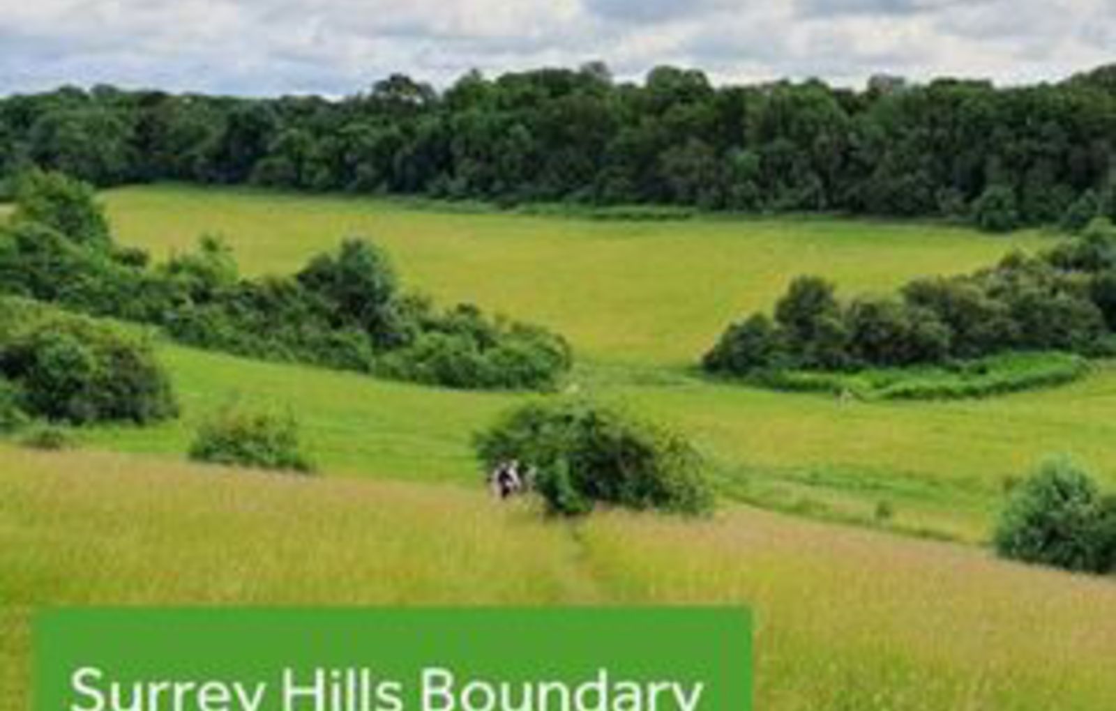 Surrey Hills Boundary Review latest